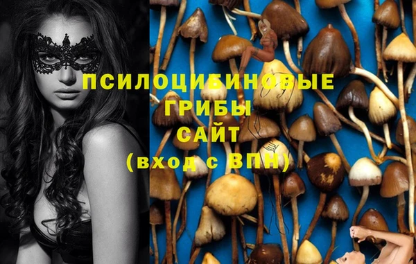 мяу мяу мука Дмитриев