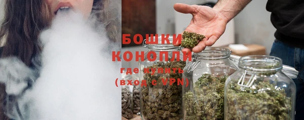 стафф Дмитровск