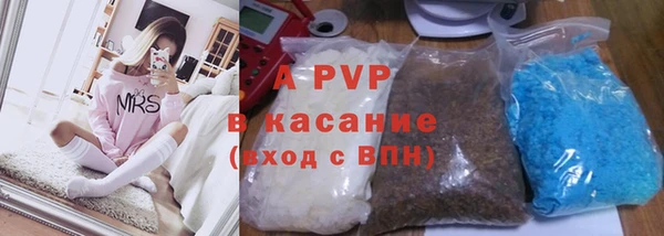 стафф Дмитровск
