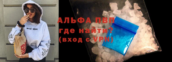 стафф Дмитровск