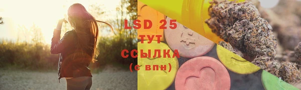 мяу мяу мука Дмитриев