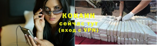 мяу мяу мука Дмитриев