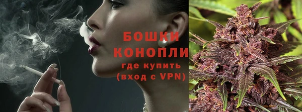 стафф Дмитровск