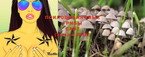 мяу мяу мука Дмитриев