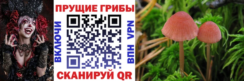 Псилоцибиновые грибы мухоморы  Купить  Ленинск 